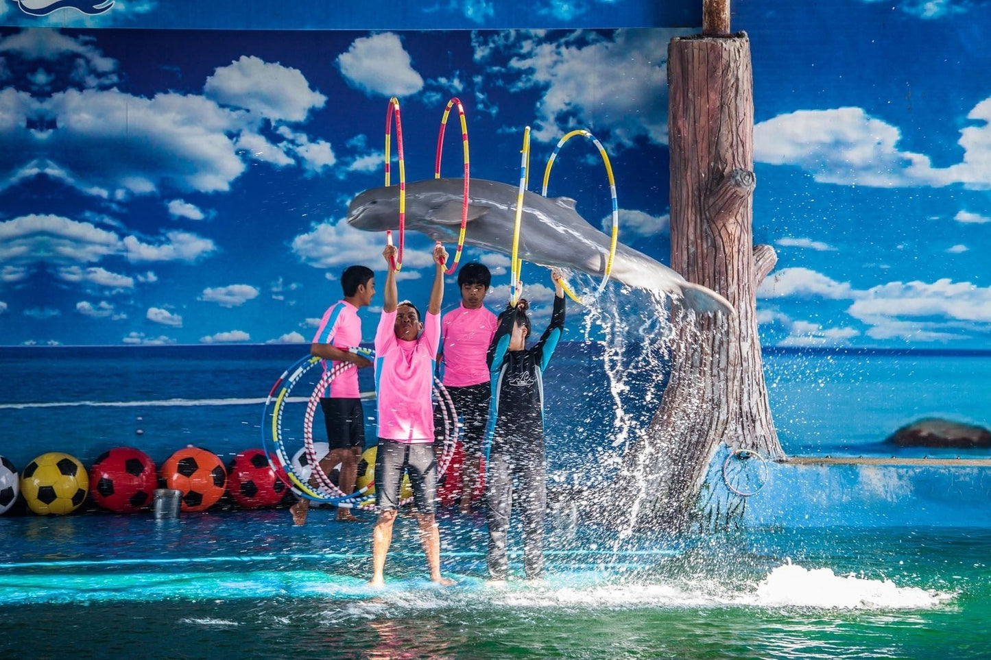 Pattaya Dolphinarium