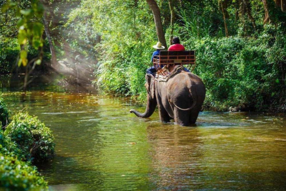 Pattaya Elephant Village