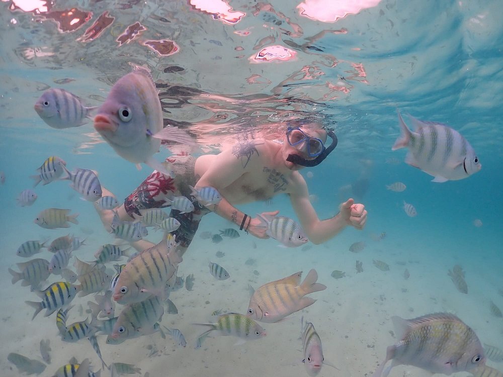 Nemo Island