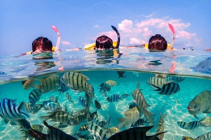 Nemo Island