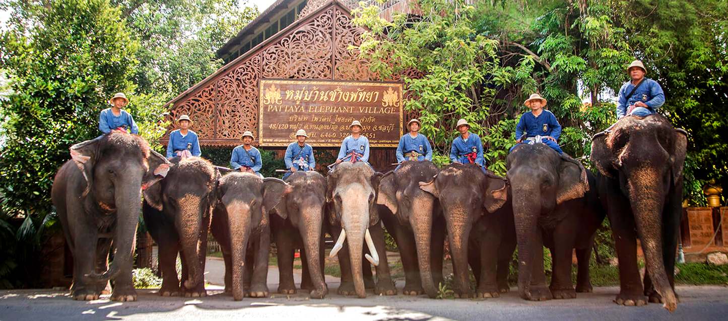 Pattaya Elephant Village