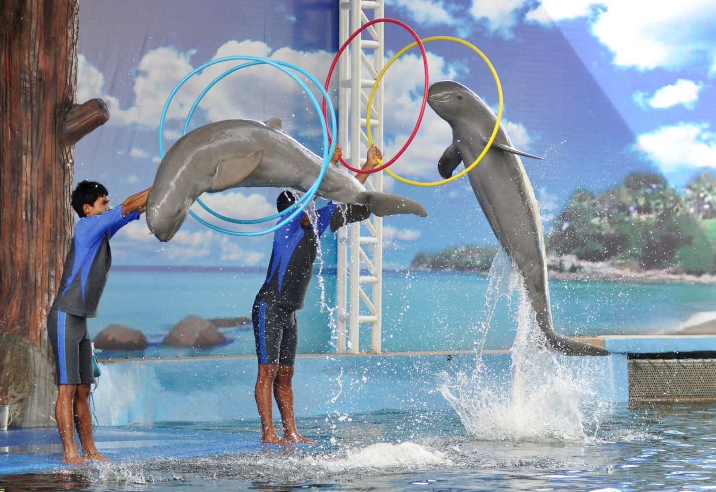 Pattaya Dolphinarium
