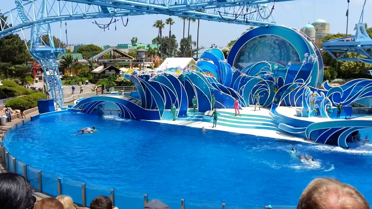Pattaya Dolphinarium