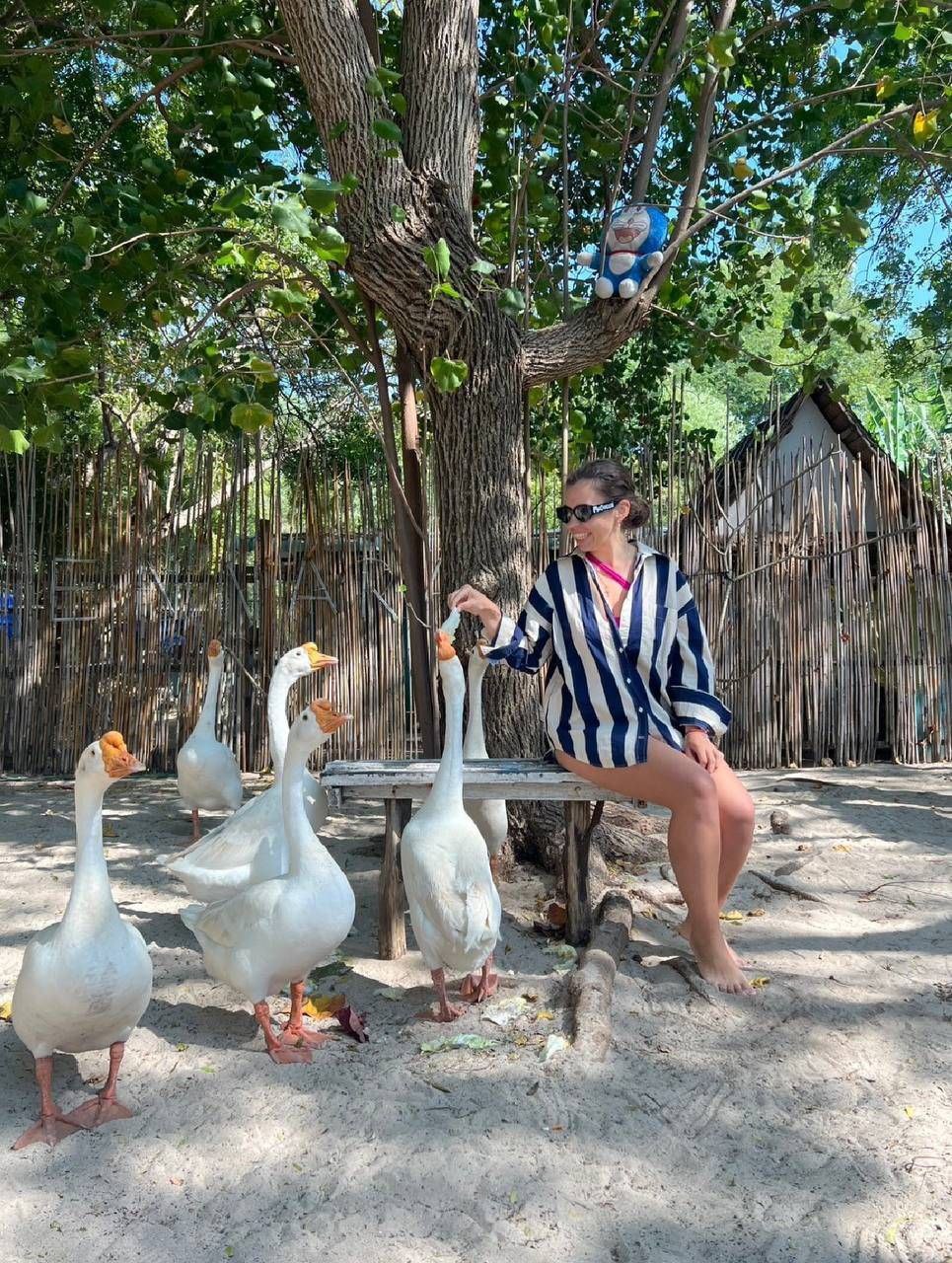 Koh Lan Island