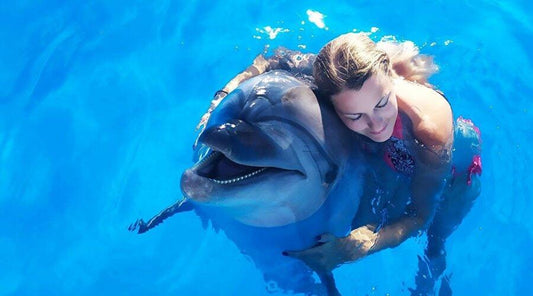 Pattaya Dolphinarium