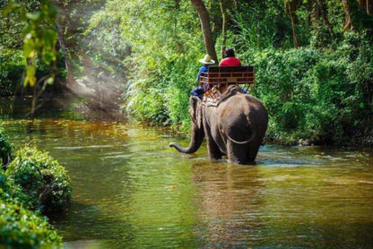 Pattaya Elephant Village