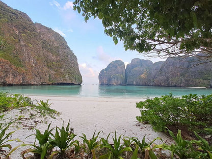 Island Dream Maya Bay & Bamboo island