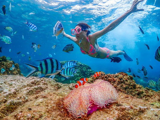 Nemo Island